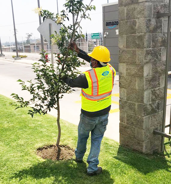 jardineria-para-empresas