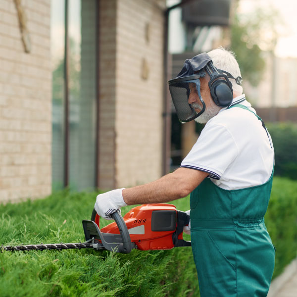 servicio-de-jardinería-corporativa servicio-de-jardinería-corporativa