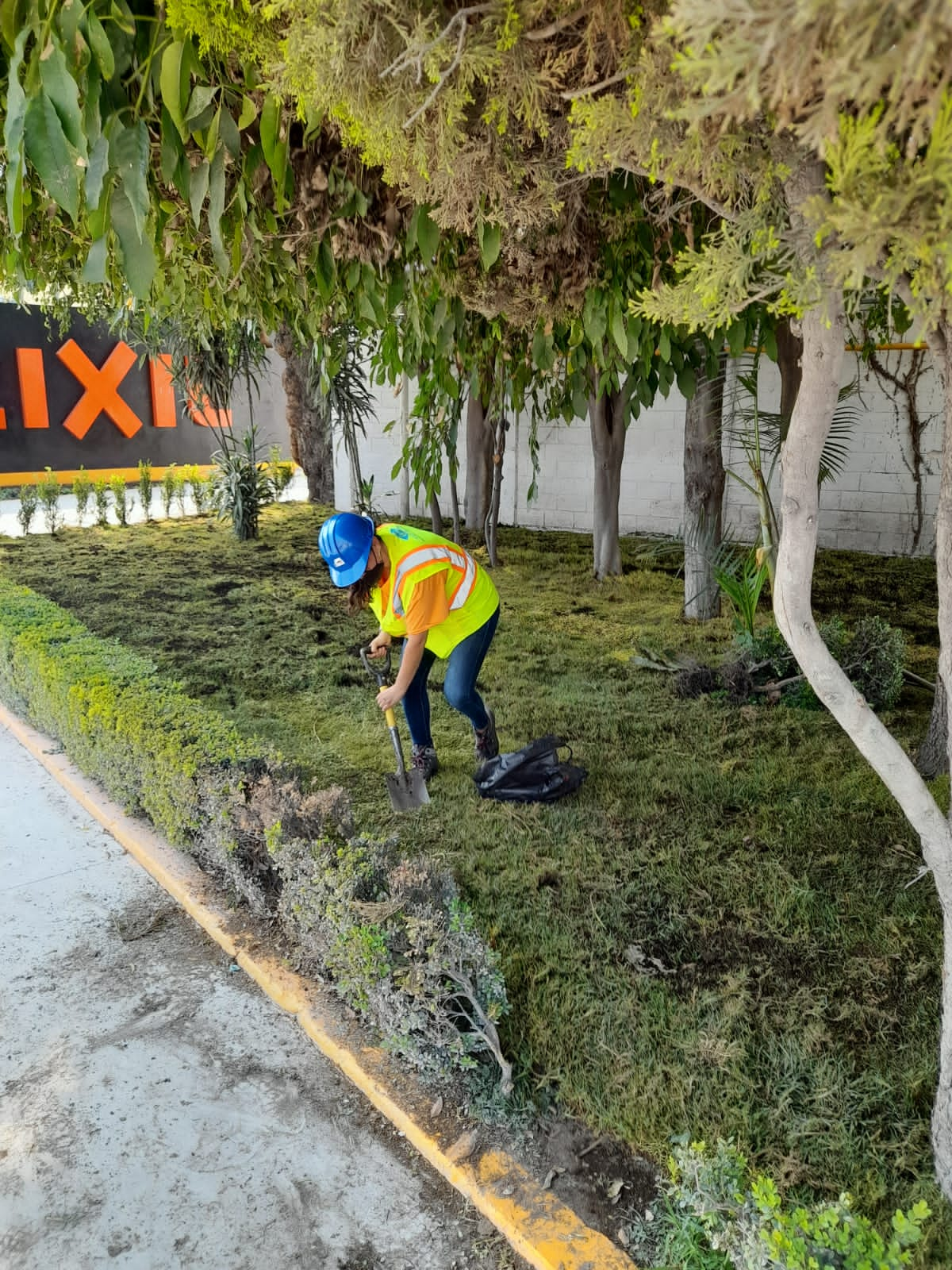 servicio de jardinería