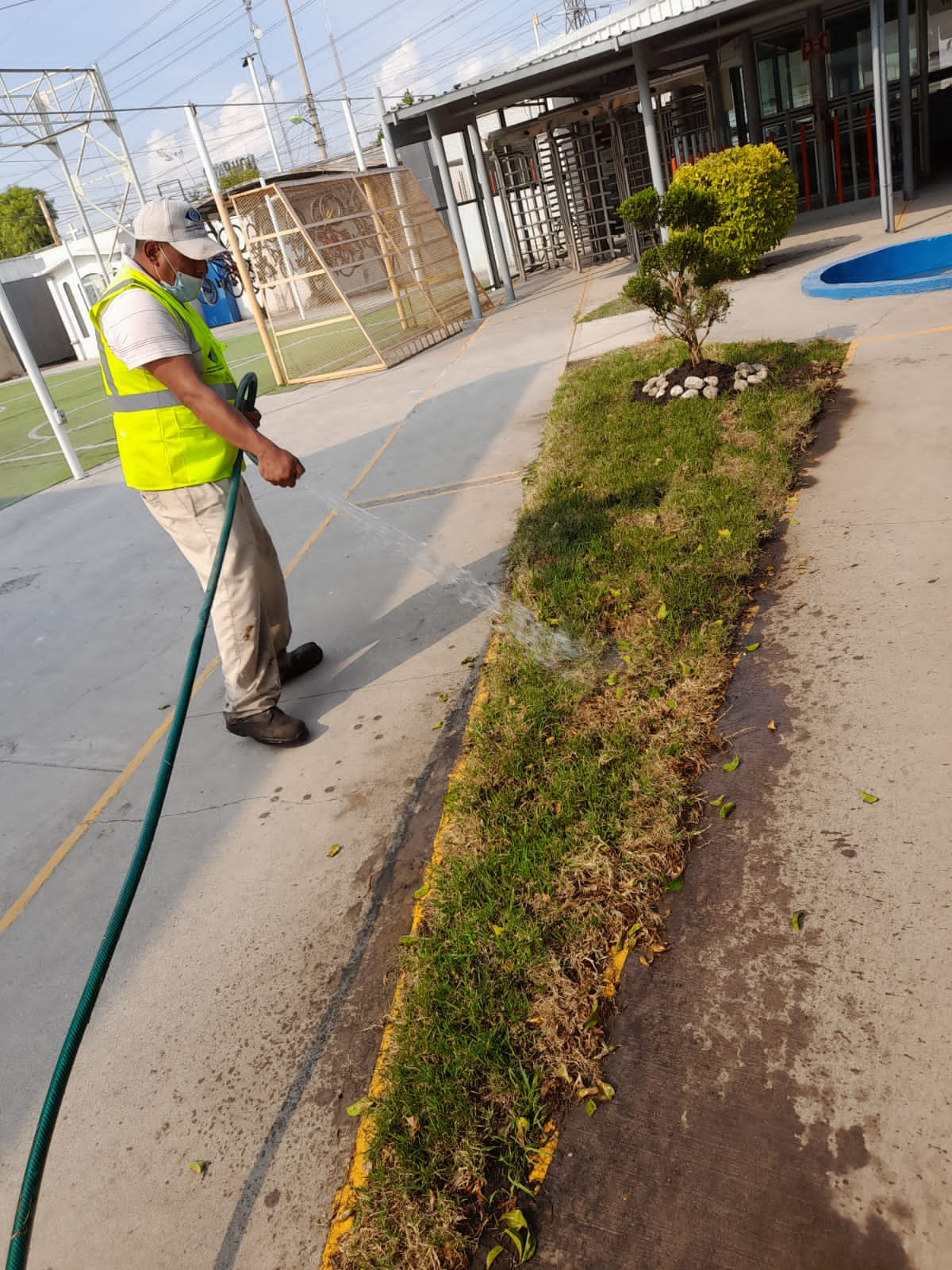 servicios de jardineria