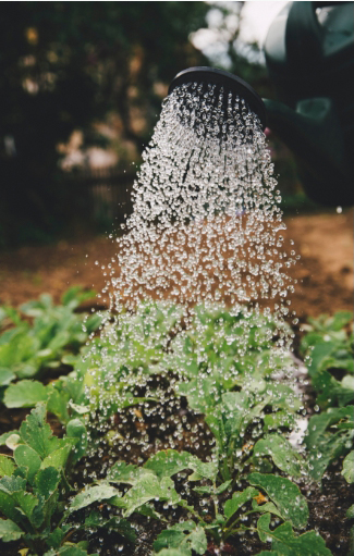 sistema de riego jardines