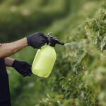 agricultor-rociar-verduras-jardin-herbicidas-hombre-delantal-negro-scaled
